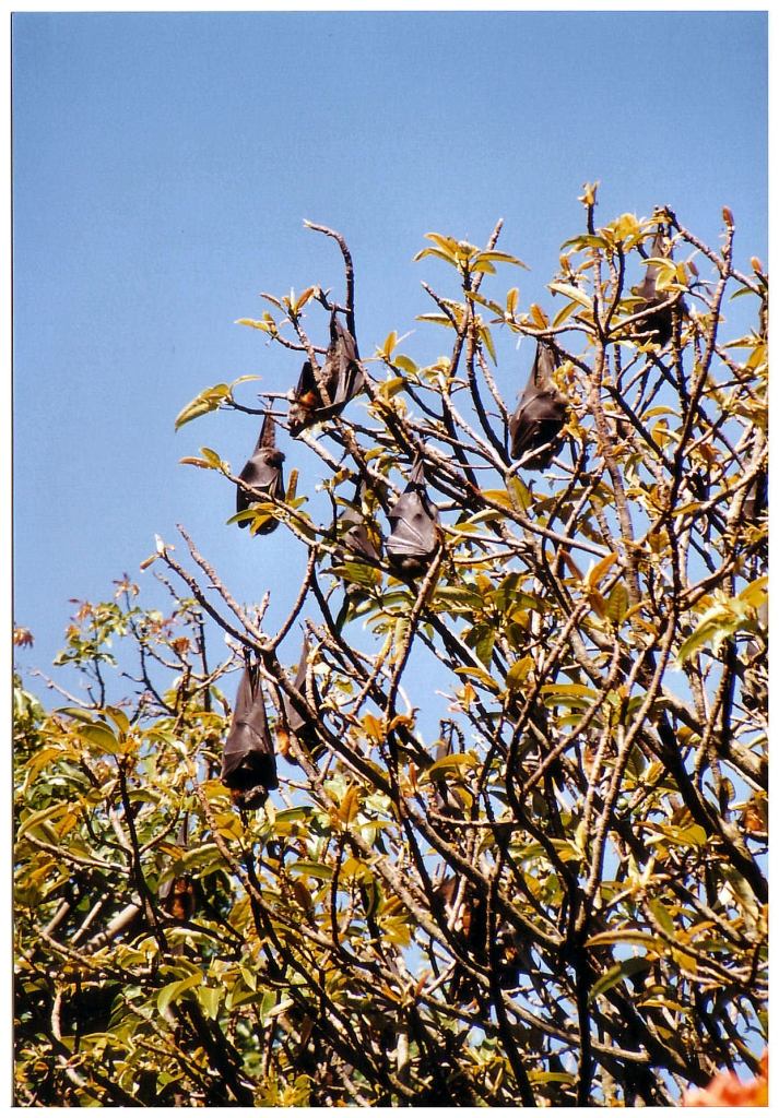 01 - Sydney (33).jpg